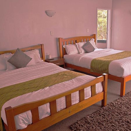 Newlands Court Motel Ουέλλινγκτον Εξωτερικό φωτογραφία